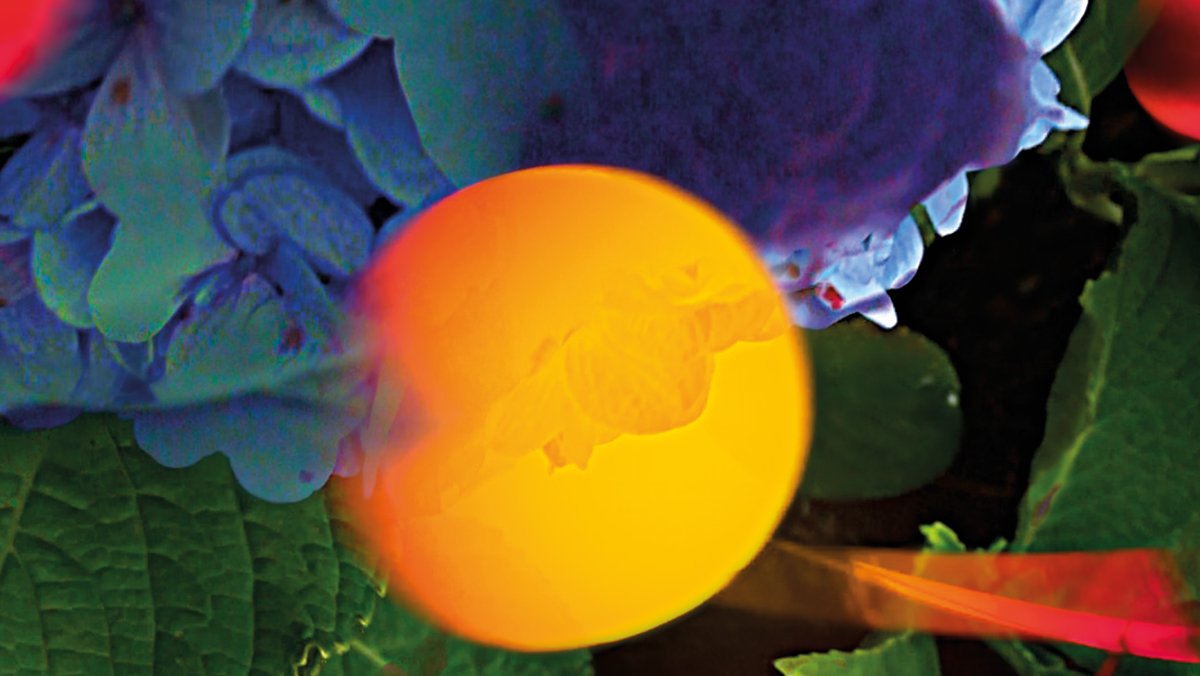 Pipilotti Rist ha ganado numerosos premios con sus vídeos/ Foto: Video for Miklos Rozsa's "Andante for Strings Op 22a"/ Kunsthaus