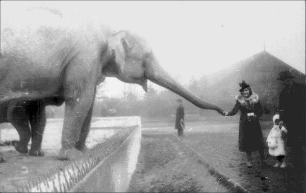 Antonina Zabinska (en la foto) dedicó su existencia a su amor por los animales, hasta su muerte en 1974