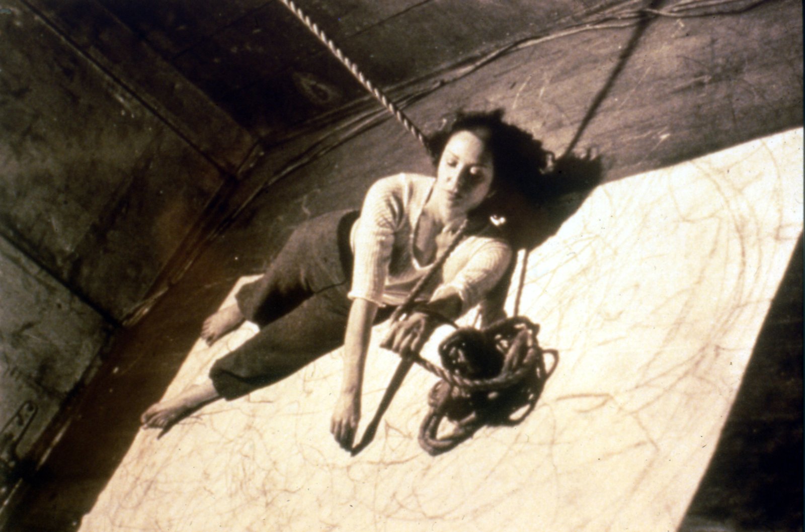 Las imágenes de Carolee Schneemann juegan con las sugerencias de tintes contagiosos/ Foto: "Up to and Including Her Limits", 1973/ Carolee Schneemann/ MoMA